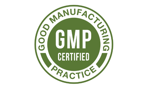 Apex Neuro Elite GMP Certified